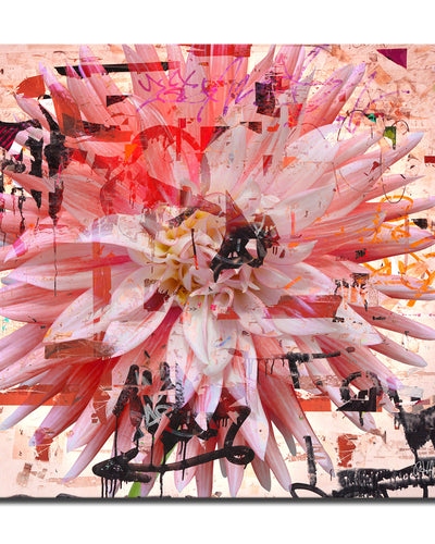 Painted Petals No. 77' Wrapped Canvas Wall Art