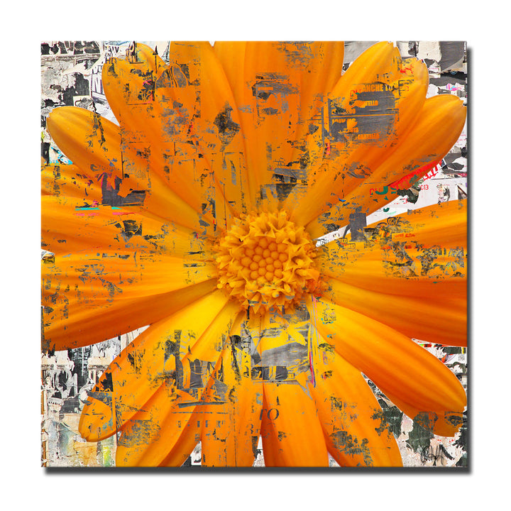Painted Petals LXXVIII' Wrapped Canvas Wall Art