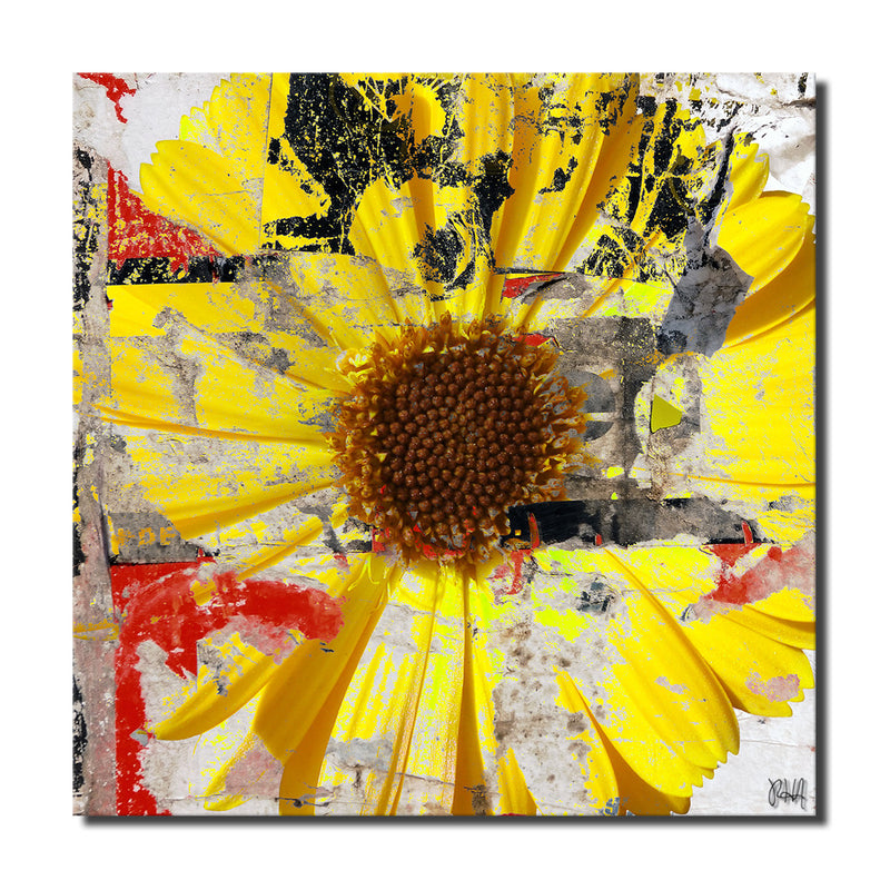 Painted Petals LXXIX' Wrapped Canvas Wall Art