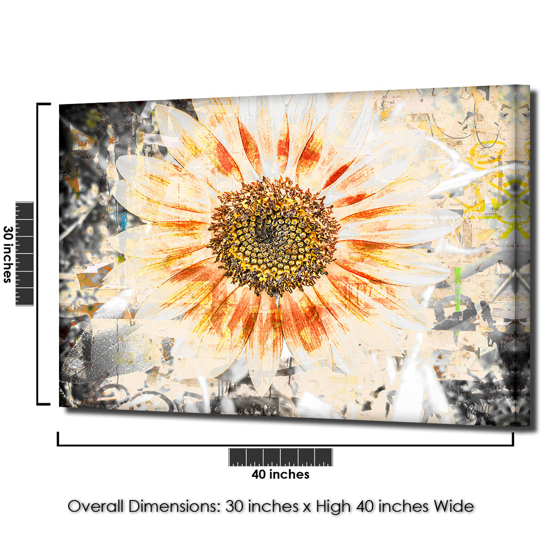 Painted Petals XC' Wrapped Canvas Wall Art