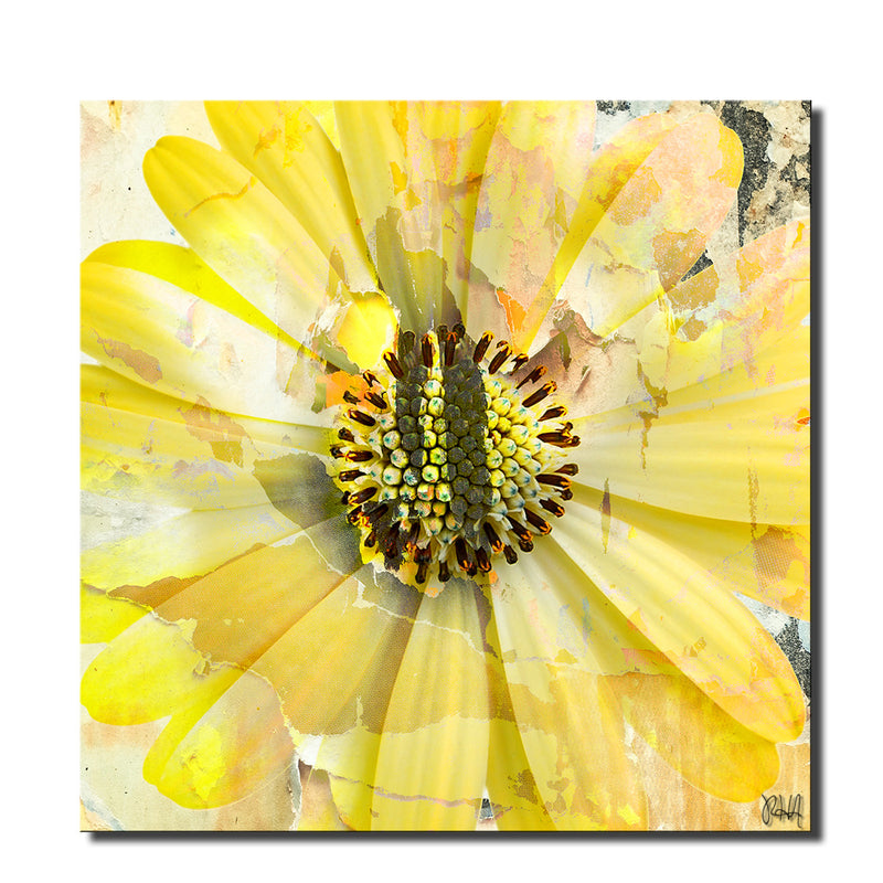Painted Petals XCV' Wrapped Canvas Wall Art