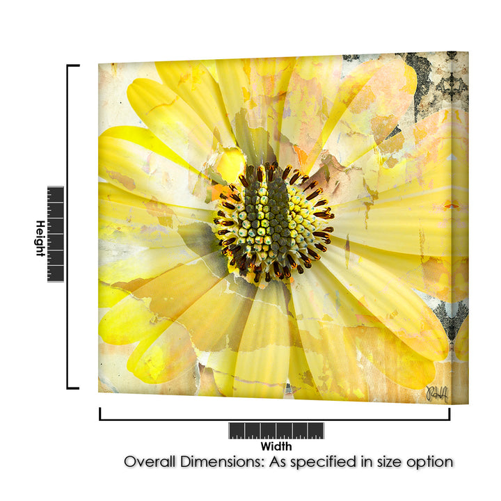 Painted Petals XCV' Wrapped Canvas Wall Art