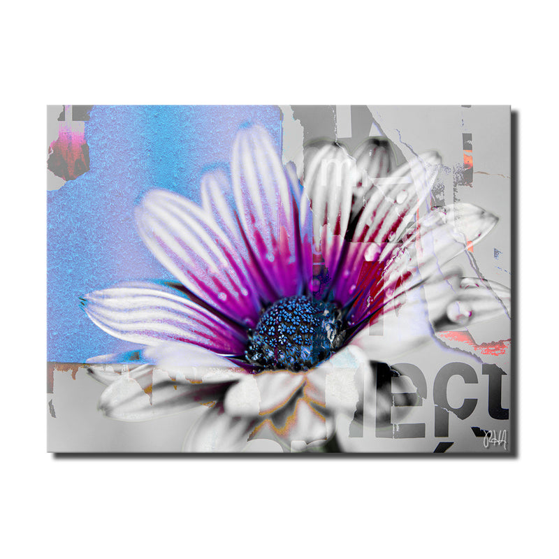 Painted Petals XCVII' Wrapped Canvas Wall Art
