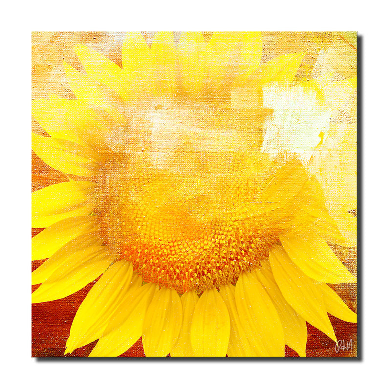 Painted Petals XCVIII' Wrapped Canvas Wall Art Set