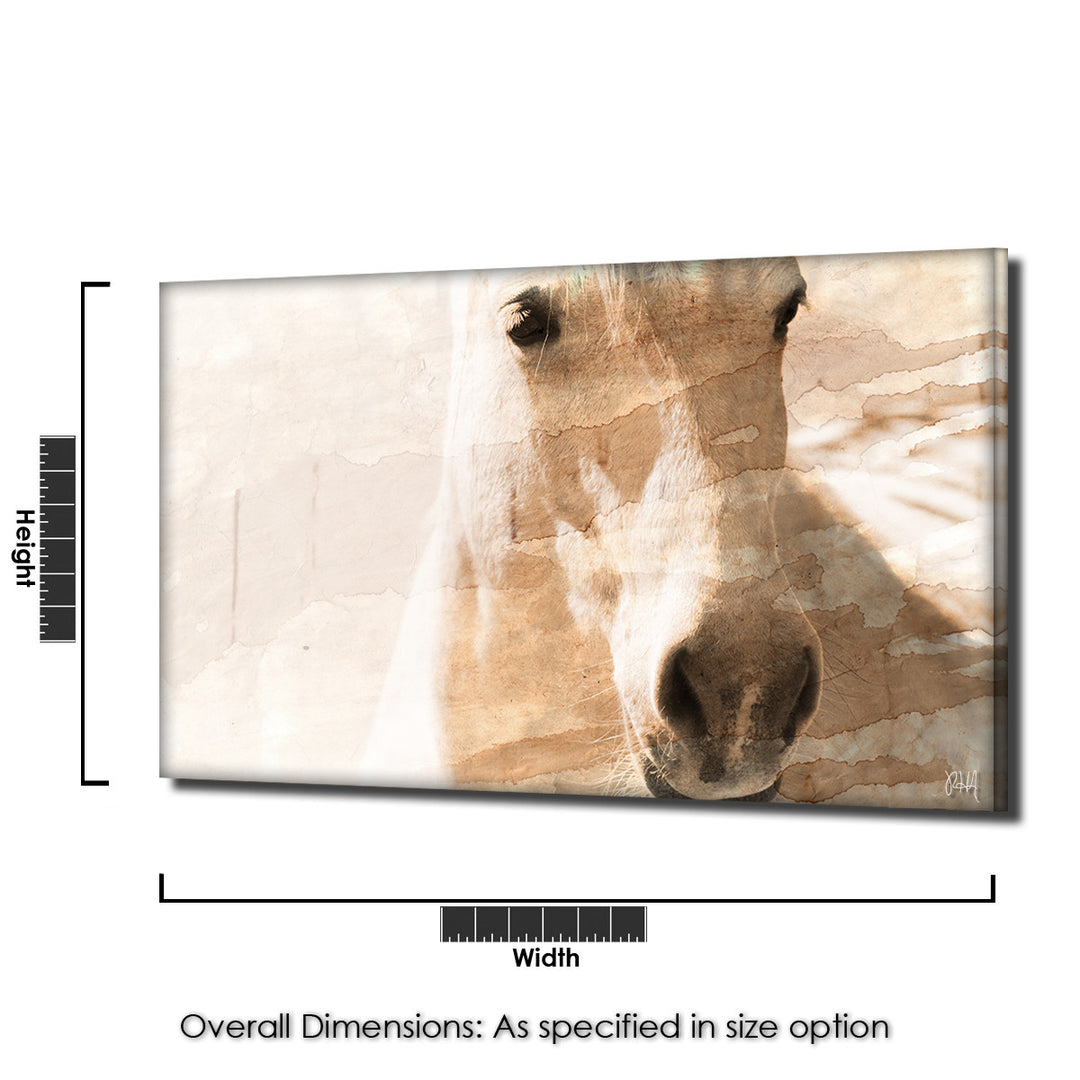 Equestrian Saddle Ink PSXI' Canvas Wall Art