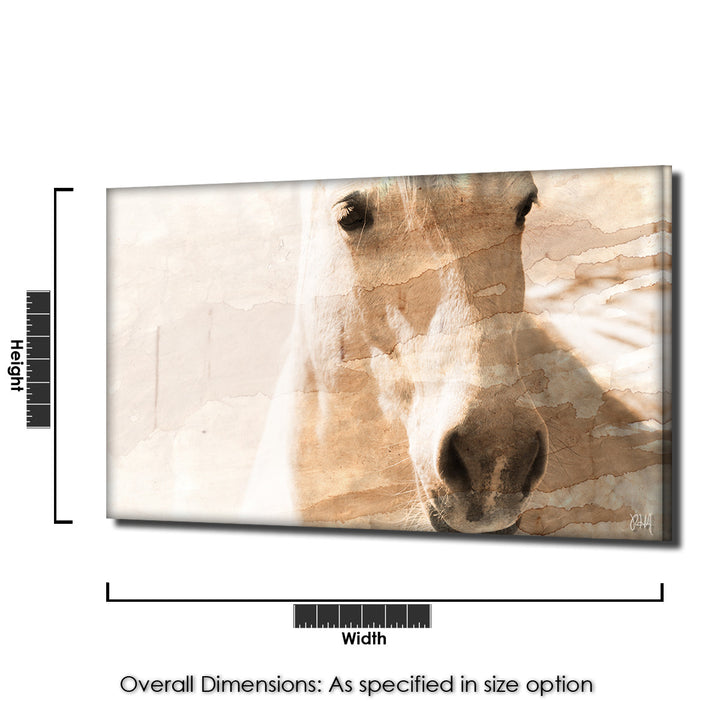 Equestrian Saddle Ink PSXI' Canvas Wall Art