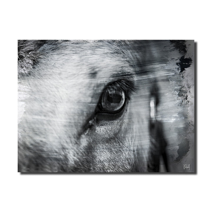 Equestrian Saddle Ink PSXII' Canvas Wall Art