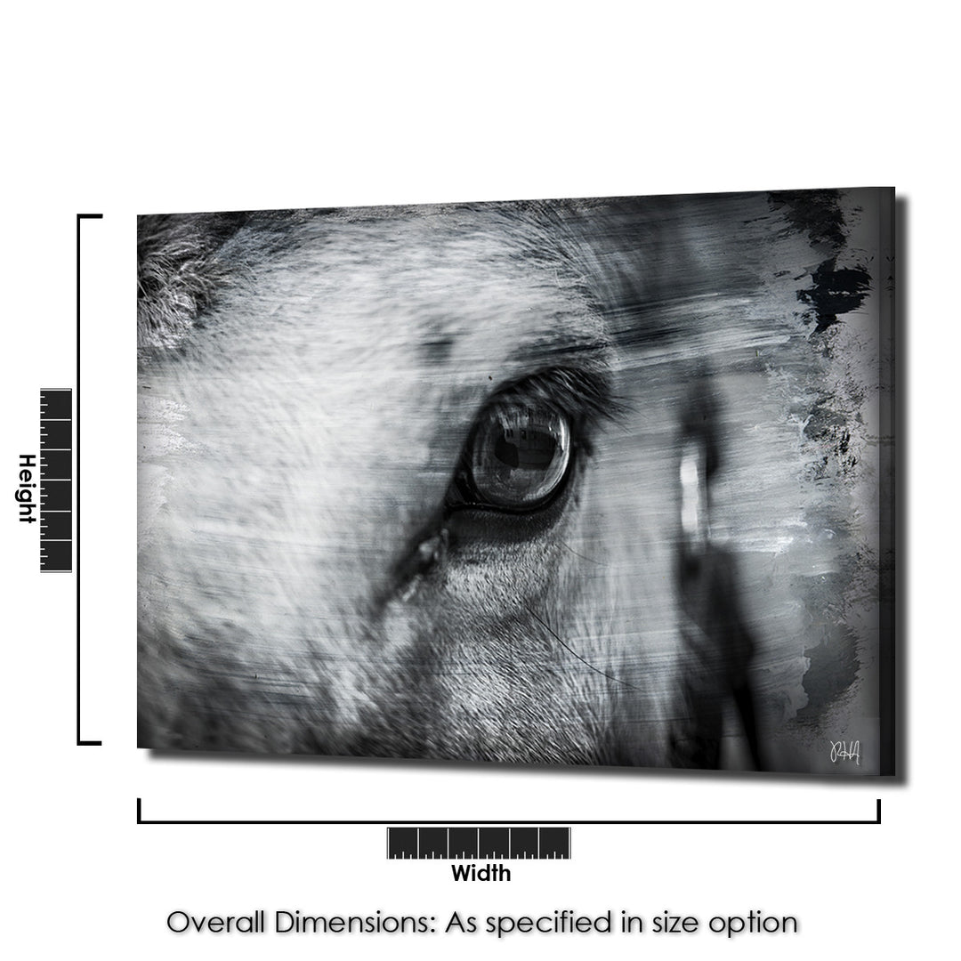 Equestrian Saddle Ink PSXII' Canvas Wall Art