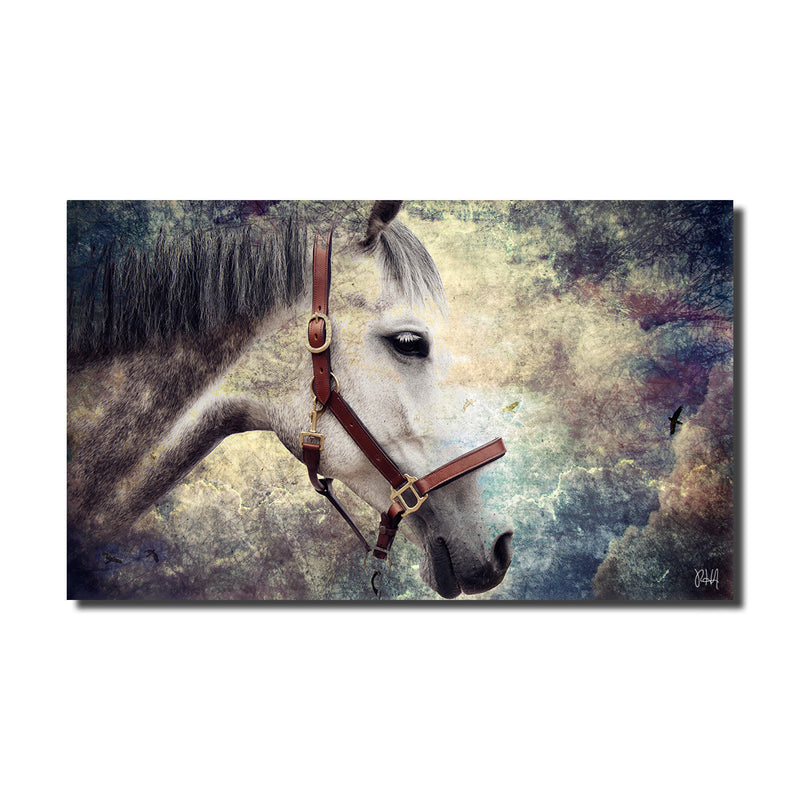 Equestrian Saddle Ink PSXIV' Canvas Wall Art