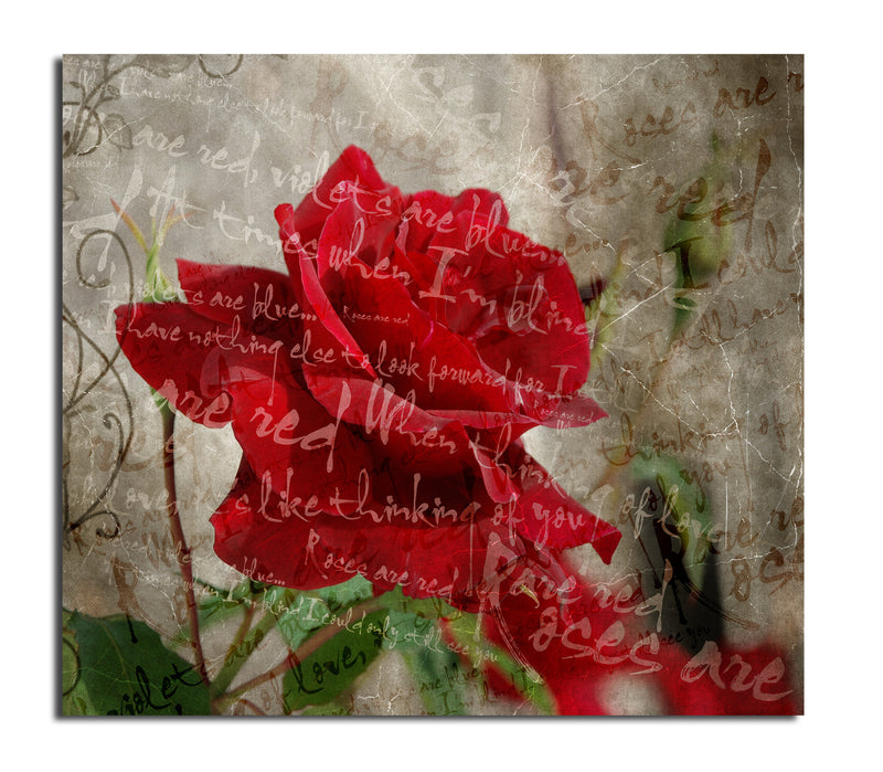 Roses are Red III' Wrapped Canvas Wall Art