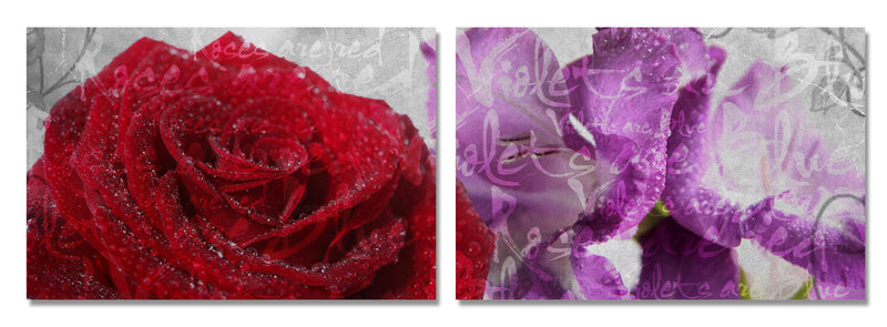 Roses are Red, Violets are Blue II' 2 Piece Wrapped Canvas Wall Art Set