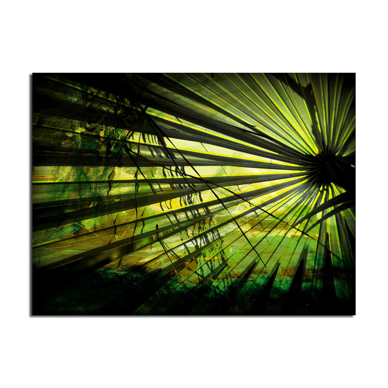 SilhouetteX I' Wrapped Canvas Wall Art