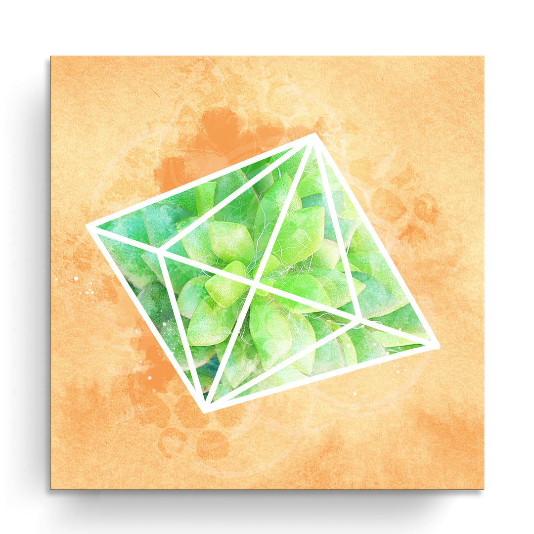 'Crystal Terrarium'  Succulent Wall Art