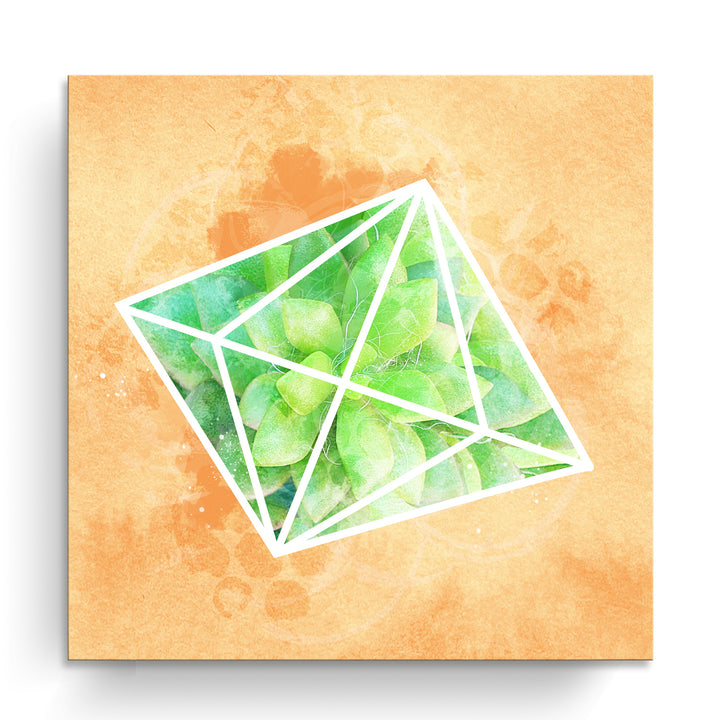 'Crystal Terrarium'  Succulent Wall Art