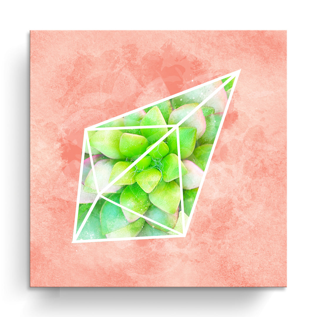 'Crystal Terrarium II'  Succulent Wall Art