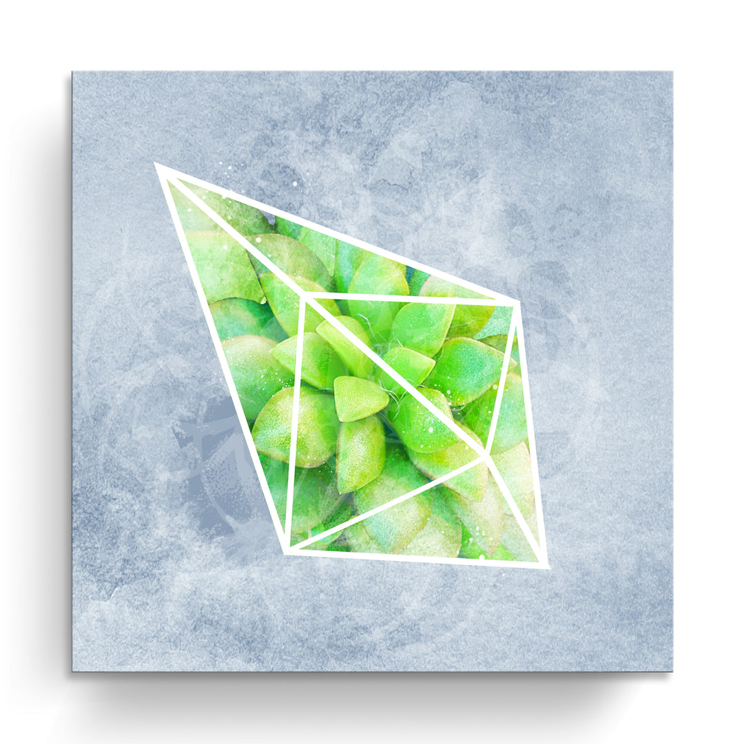 'Crystal Terrarium III'  Succulent Wall Art