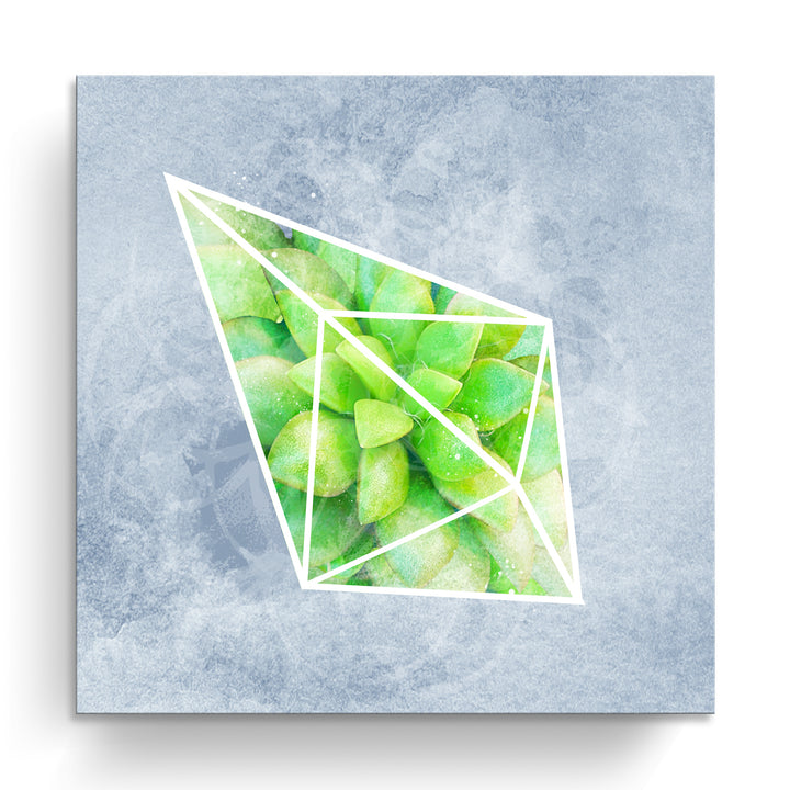 'Crystal Terrarium III'  Succulent Wall Art