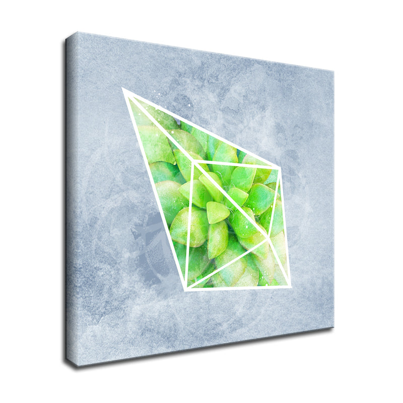 'Crystal Terrarium III'  Succulent Wall Art