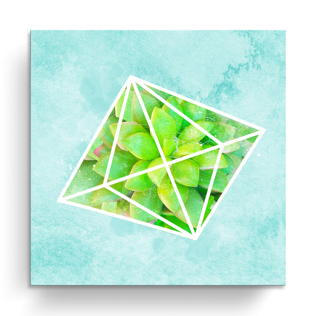 'Crystal Terrarium IV'  Succulent Wall Art
