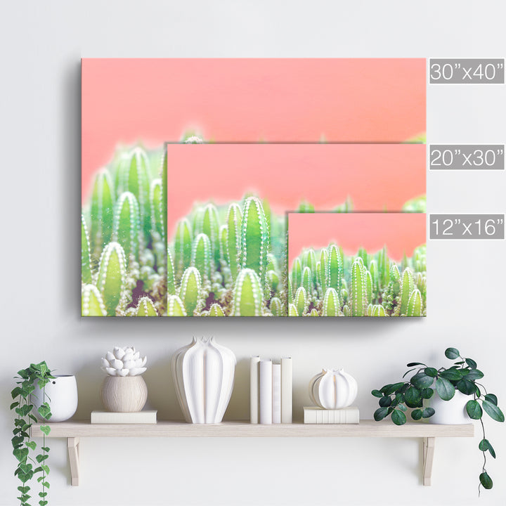 'Warm Thoughts'  Succulent Wall Art