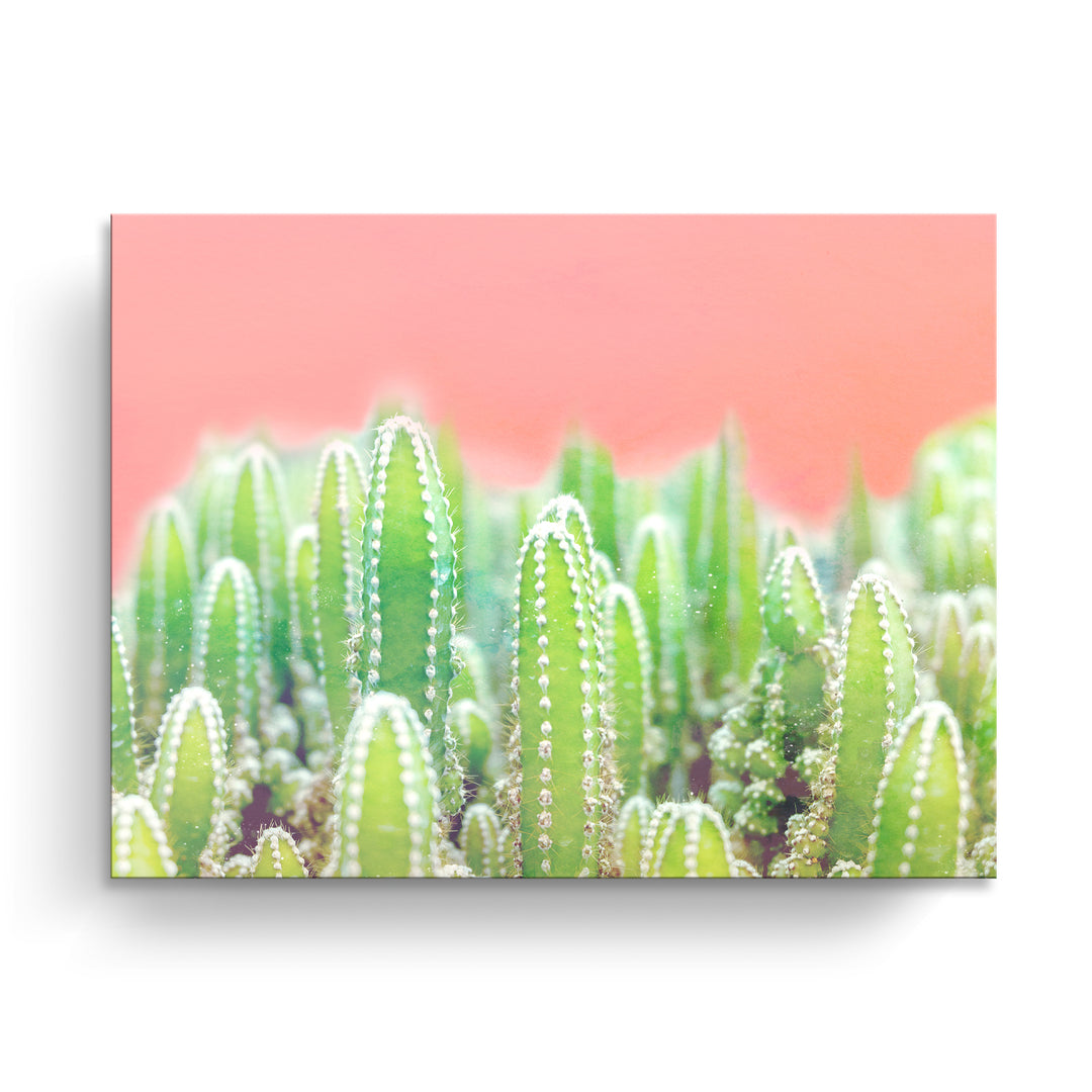 'Warm Thoughts'  Succulent Wall Art