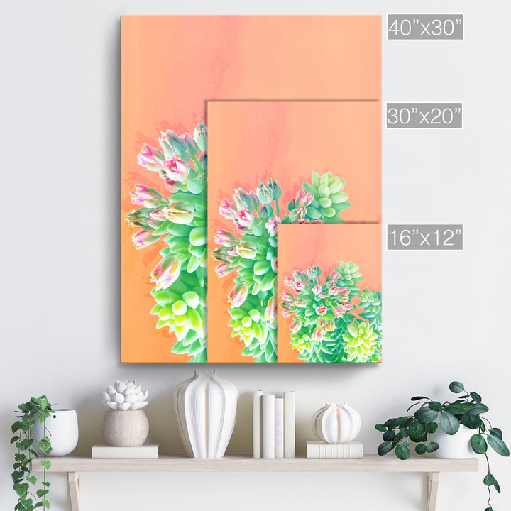 'Fresh Growth'  Succulent Wall Art