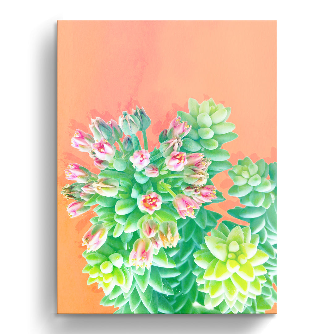 'Fresh Growth'  Succulent Wall Art
