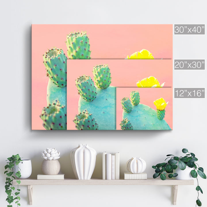 'Spike Yellow'  Succulent Wall Art