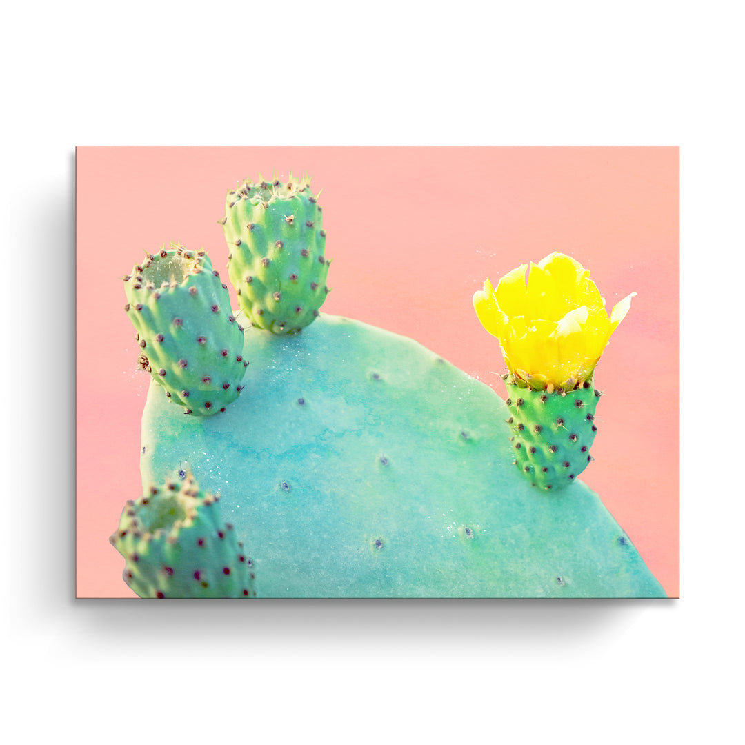 'Spike Yellow'  Succulent Wall Art
