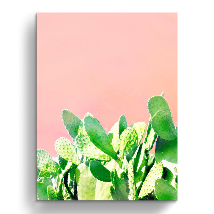'Heat Rise'  Succulent Wall Art