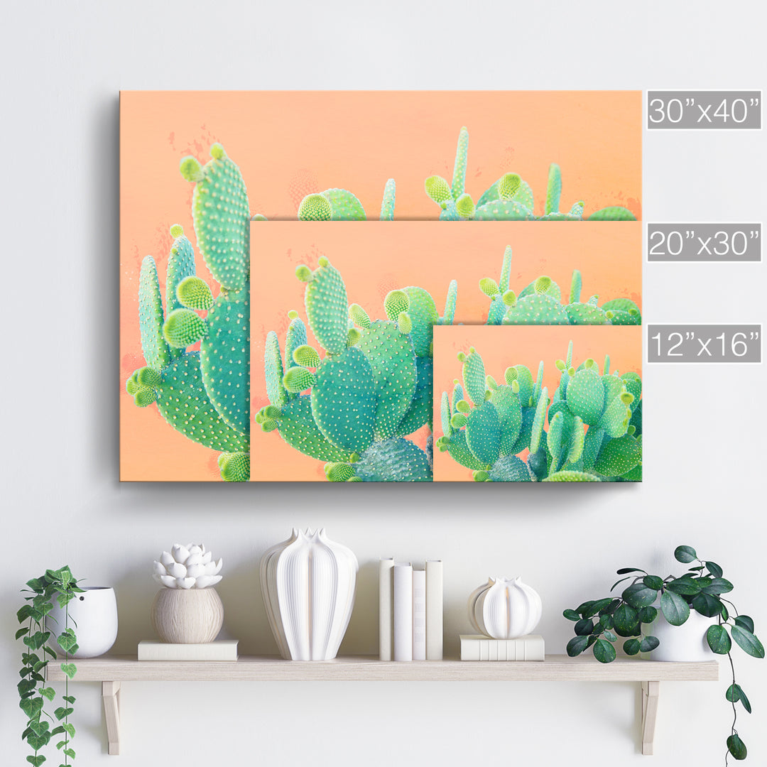 'Cacti Dream'  Succulent Wall Art