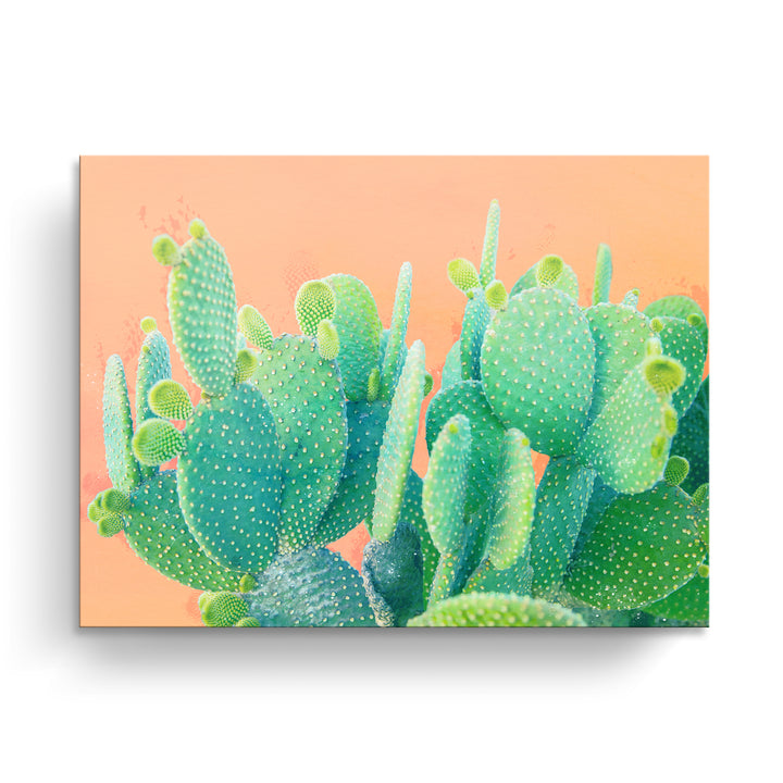 'Cacti Dream'  Succulent Wall Art