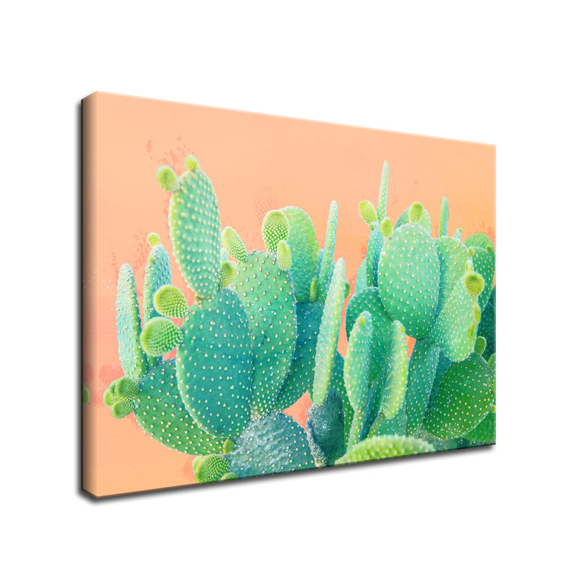 'Cacti Dream'  Succulent Wall Art