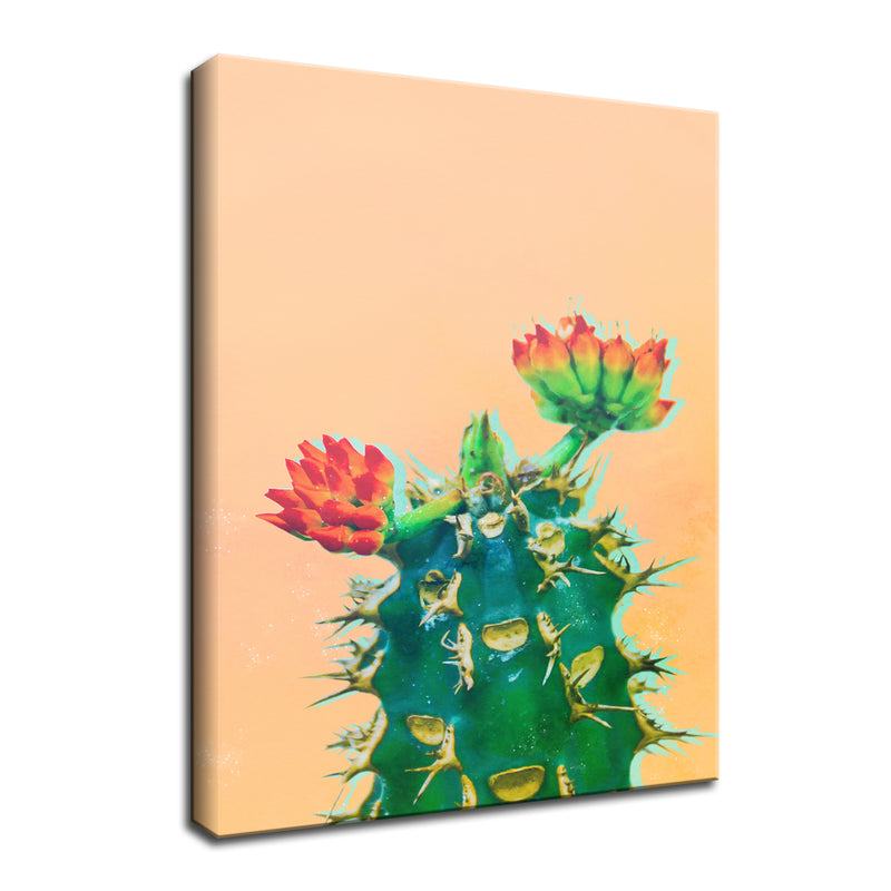 'Color Me Cactus'  Succulent Wall Art