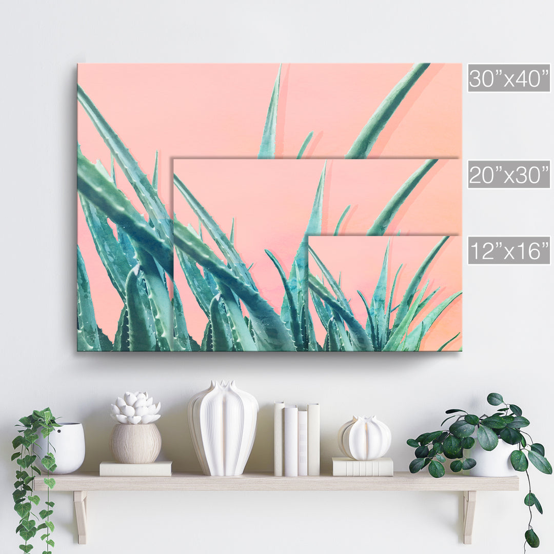 'Aloe Need'  Succulent Wall Art