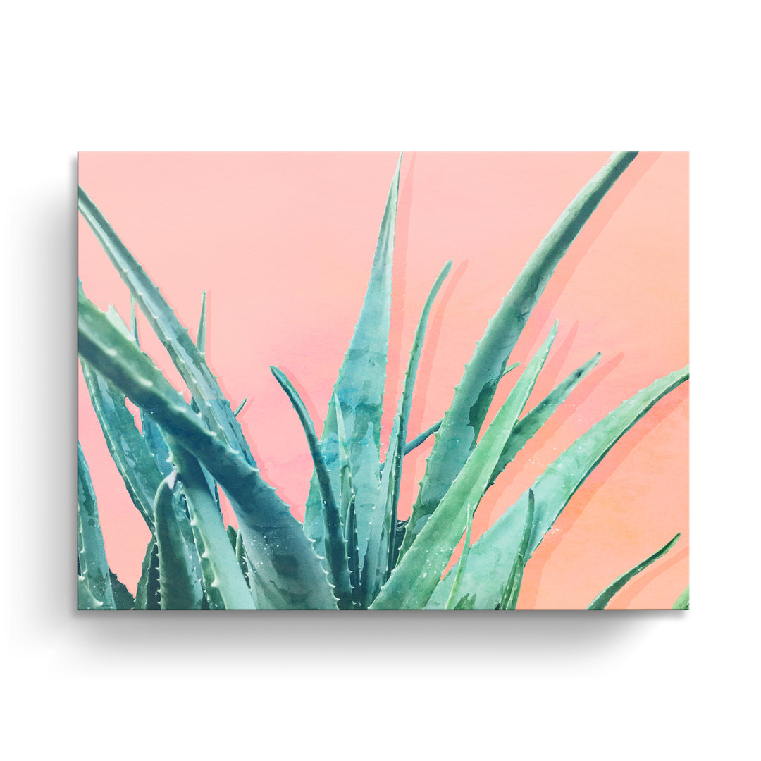 'Aloe Need'  Succulent Wall Art