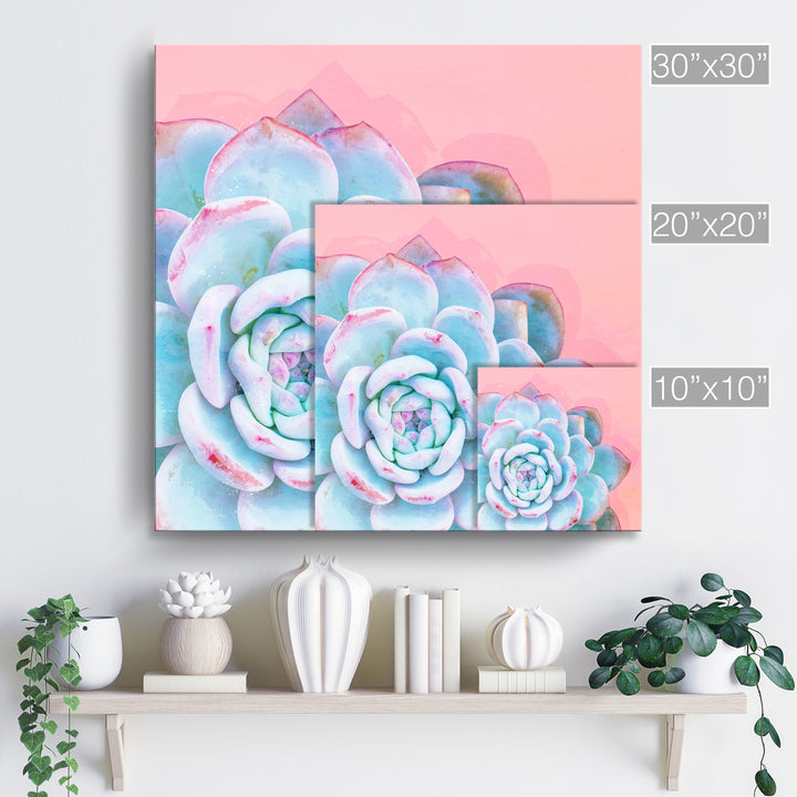 'Awaken I'  Succulent Wall Art