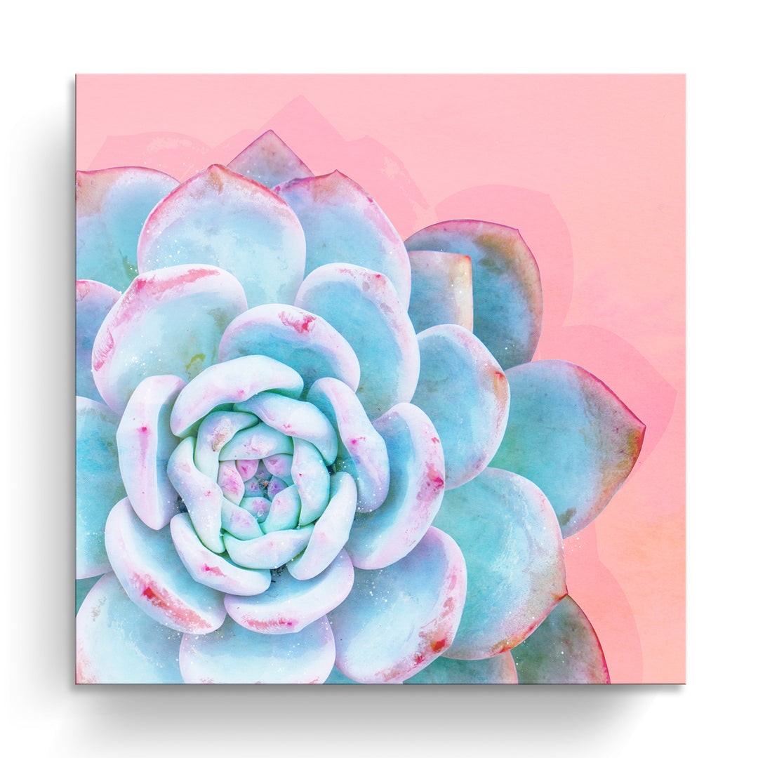 'Awaken I'  Succulent Wall Art