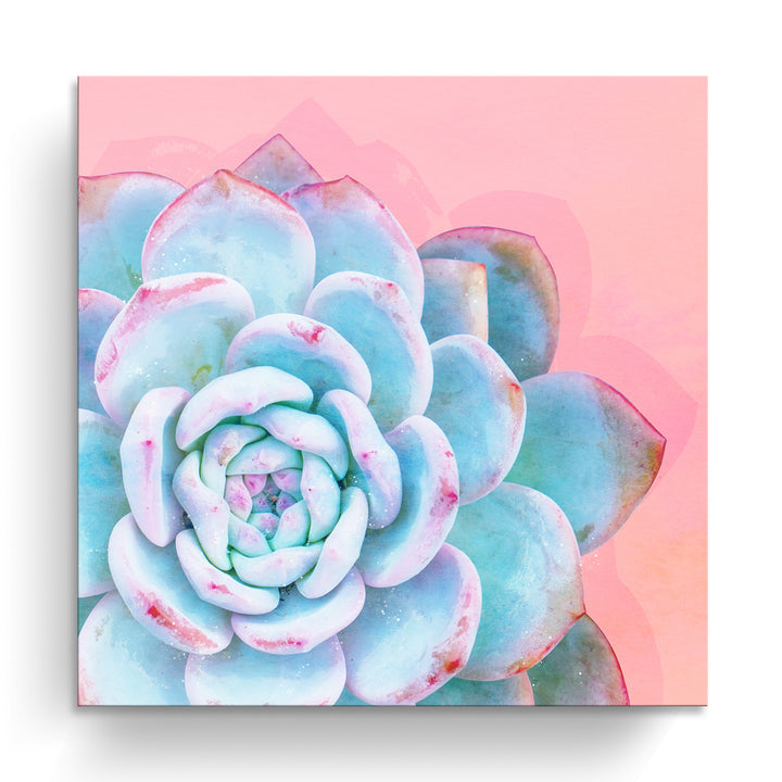 'Awaken I'  Succulent Wall Art