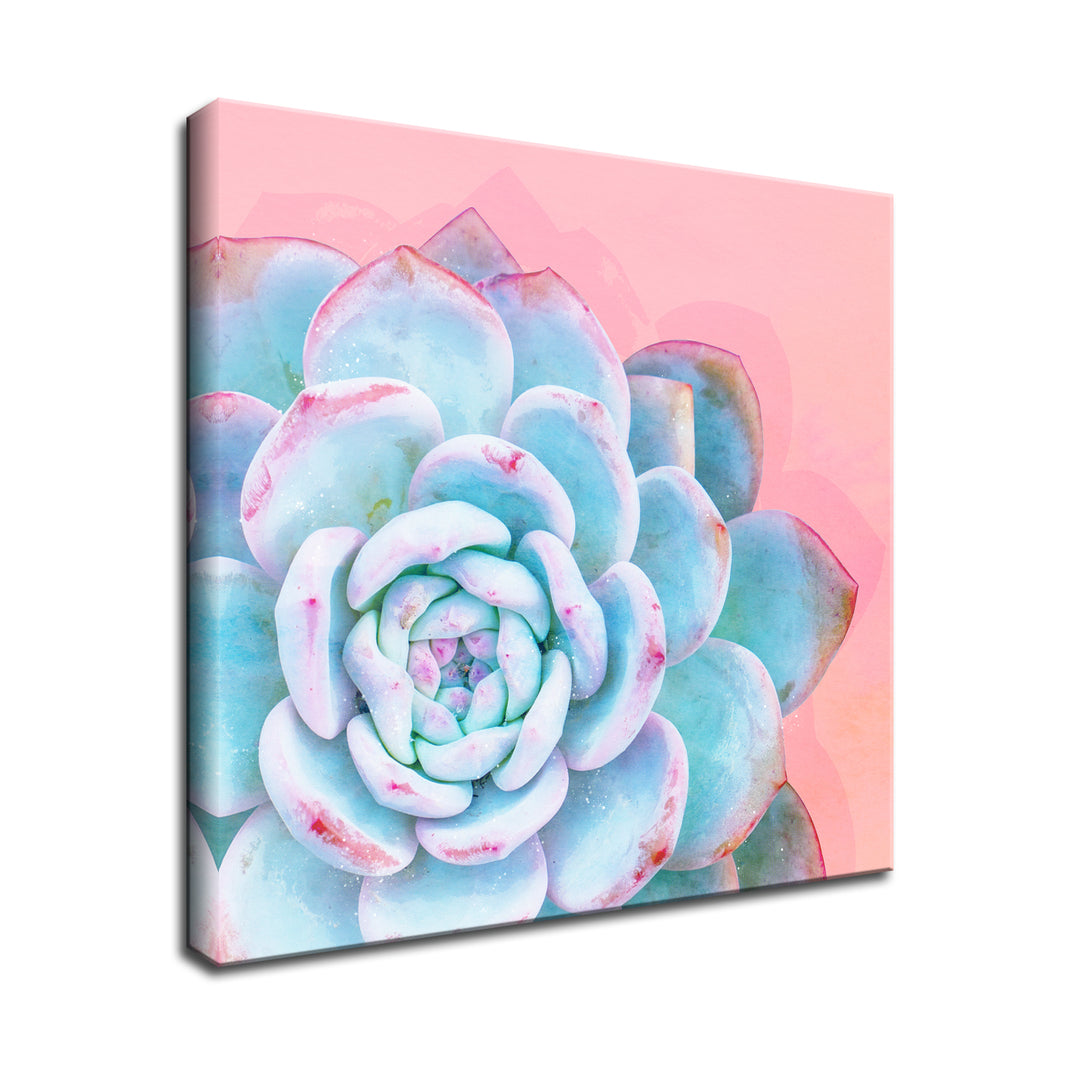 succulent wall art painting Awaken I' Succulent Wall Art – Ready2HangArt
