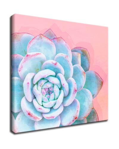 'Awaken I'  Succulent Wall Art