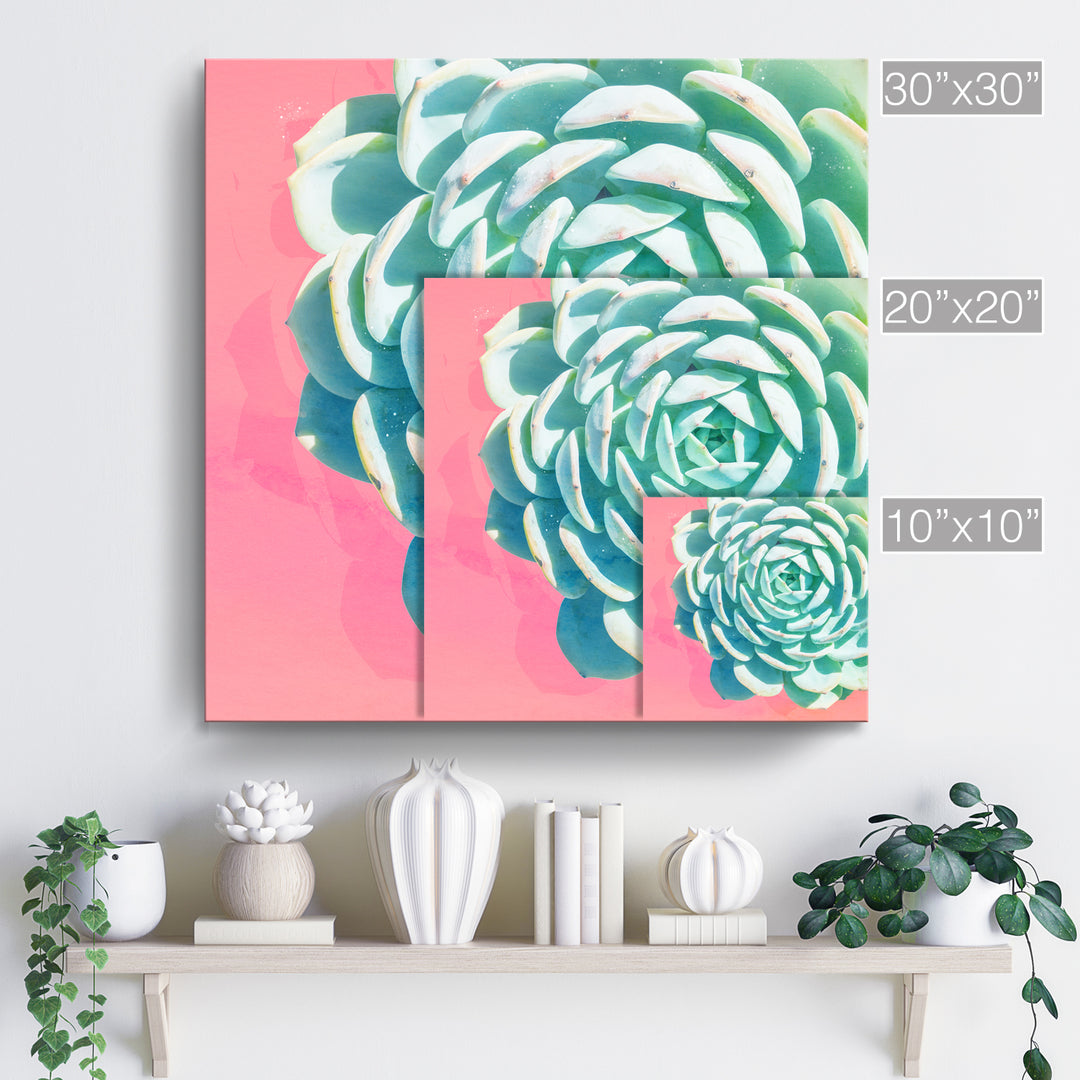 'Awaken II'  Succulent Wall Art