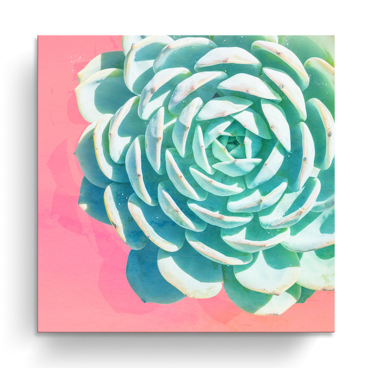 'Awaken II'  Succulent Wall Art