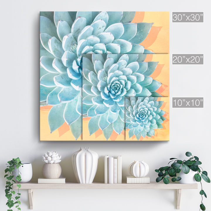 'Awaken III'  Succulent Wall Art