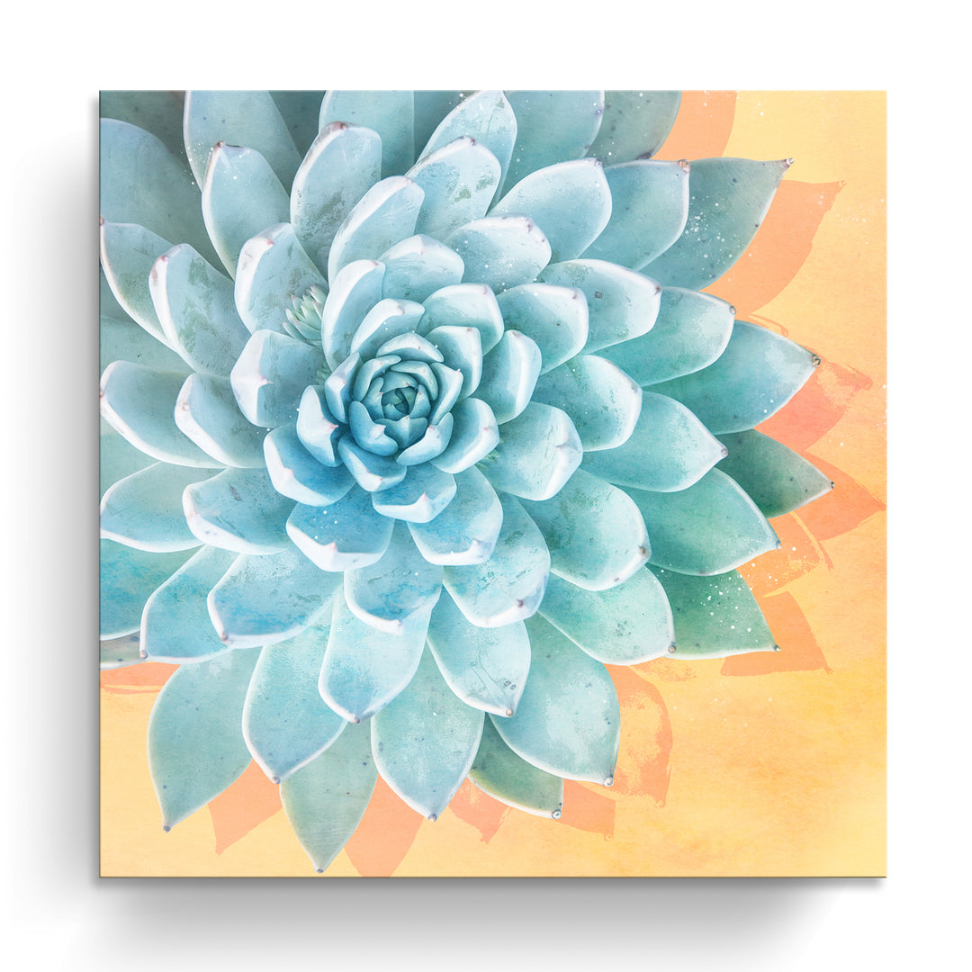 'Awaken III'  Succulent Wall Art