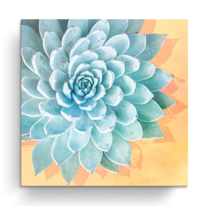 'Awaken III'  Succulent Wall Art