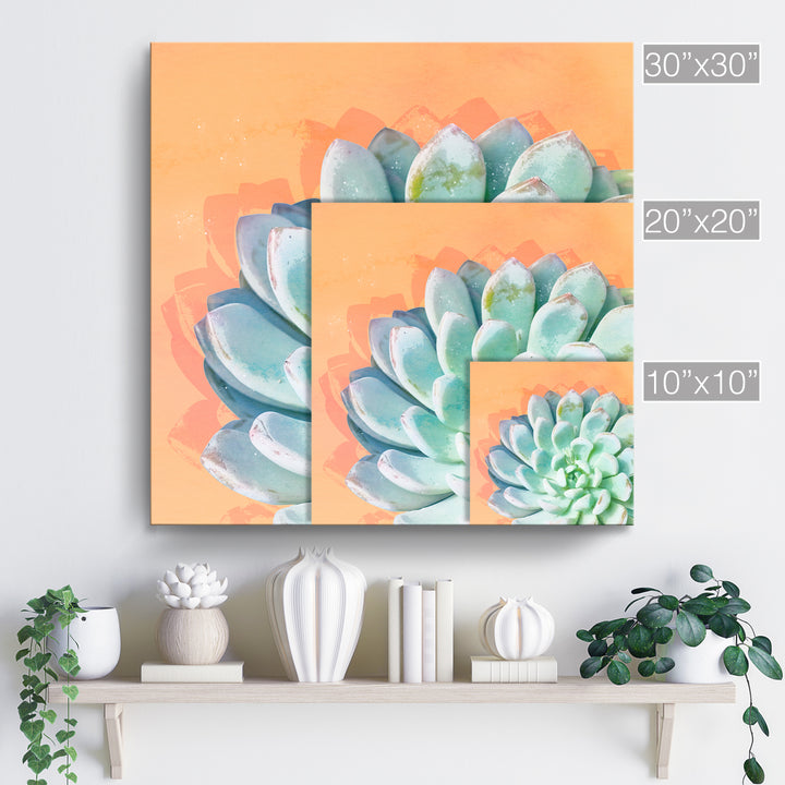 'Awaken IV'  Succulent Wall Art