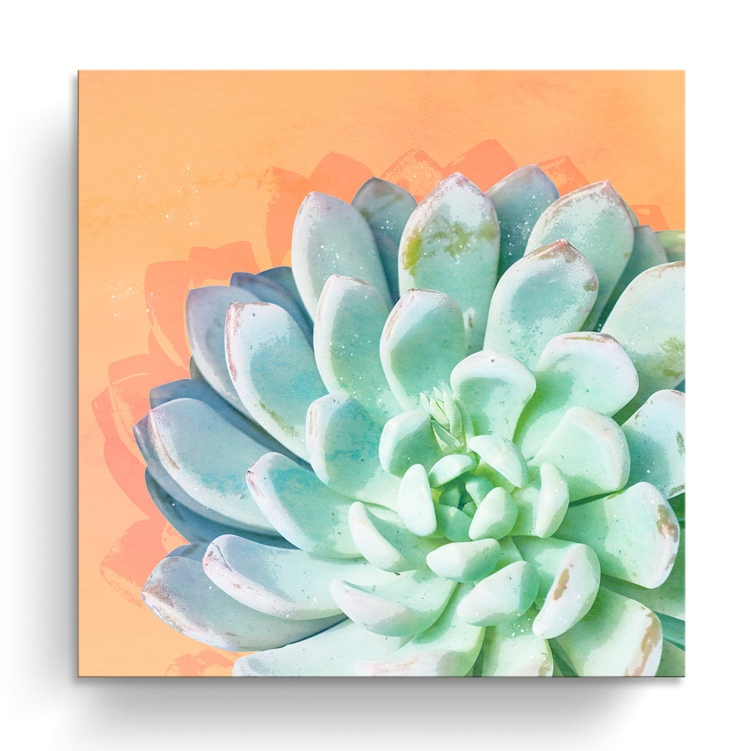 'Awaken IV'  Succulent Wall Art