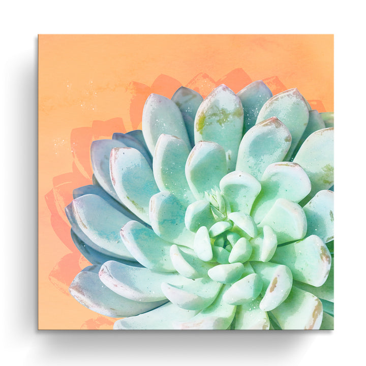 'Awaken IV'  Succulent Wall Art