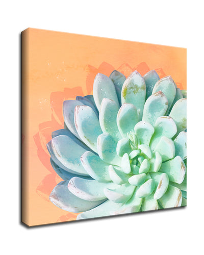 'Awaken No. 4'  Succulent Wall Art